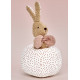 HOLLY Hase Rassel + Ball, Waldorf - Steckspiel