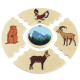 Tierwelten, Lernpuzzle-Spiel NAWITO ab 4+