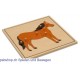 Das Pferd - Holzpuzzlekarte in der Größe 24 x 24 cm