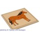 Das Pferd - Holzpuzzlekarte in der Größe 24 x 24 cm