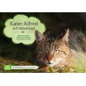 Kater Alfred auf Mäusejagd. Kamishibai Bildkartenset. 