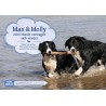 Max und Molly - zwei Hunde vertragen sich wieder. Kamishibai Bildkartenset.