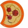 Wandspielobjekt Raupe, Drehlabyrinth