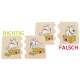 Räumlichkeit, Cognito, Lernspiel ab 4++