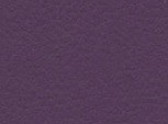 206 aubergine
